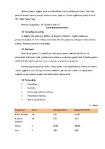 Biznesa plāns 'Šūšanas darbnīca', 8.