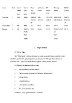 Biznesa plāns 'Šūšanas darbnīca', 12.