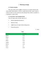 Biznesa plāns 'Šūšanas darbnīca', 15.