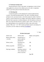 Biznesa plāns 'Šūšanas darbnīca', 16.