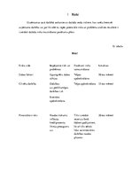 Biznesa plāns 'Šūšanas darbnīca', 18.