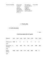 Biznesa plāns 'Šūšanas darbnīca', 19.