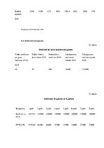 Biznesa plāns 'Šūšanas darbnīca', 20.