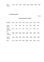 Biznesa plāns 'Šūšanas darbnīca', 21.