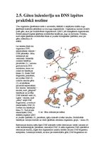 Konspekts 'Biotehnoloģijas', 5.