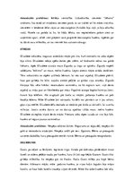 Konspekts 'Regīnas Ezeras darba "Cilvēkam vajag suni" analīze', 2.