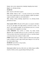 Konspekts 'Regīnas Ezeras darba "Cilvēkam vajag suni" analīze', 4.