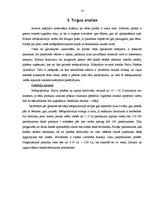 Biznesa plāns 'Kafejnīca "Pankūku namiņš"', 10.