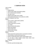 Biznesa plāns 'Kafejnīca "Pankūku namiņš"', 14.