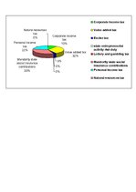 Referāts 'State Revenue Service Riga Regional Office', 5.