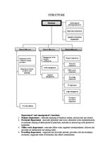 Referāts 'State Revenue Service Riga Regional Office', 6.