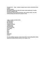 Konspekts 'Nāve', 2.