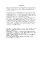 Konspekts 'Nāve', 4.