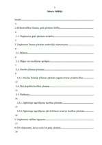 Referāts 'Grāmatvedības pārskati', 2.