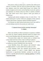 Referāts 'Grāmatvedības pārskati', 7.