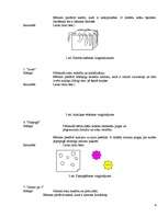 Referāts 'Skolēna personības un klases izpēte', 4.