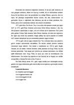 Referāts 'Regeja attīstība', 3.