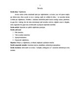 Referāts 'Veģetārisms', 1.