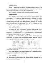 Referāts 'Ciete', 2.