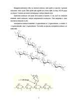 Referāts 'Ciete', 6.