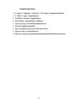 Referāts 'Ciete', 12.