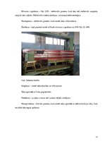 Referāts 'Ķīmisko vielu izmantošana ādas apstrādē', 13.