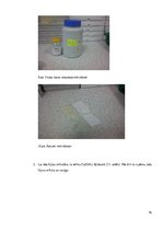 Referāts 'Ķīmisko vielu izmantošana ādas apstrādē', 16.