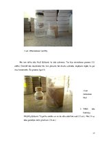 Referāts 'Ķīmisko vielu izmantošana ādas apstrādē', 17.