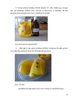 Referāts 'Ķīmisko vielu izmantošana ādas apstrādē', 21.