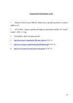 Referāts 'Ķīmisko vielu izmantošana ādas apstrādē', 23.