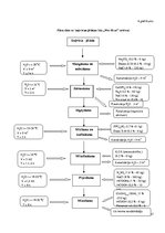 Referāts 'Ķīmisko vielu izmantošana ādas apstrādē', 27.