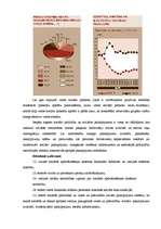 Referāts 'Sociālās sfēras prioritātes Latvijas nacionālās attīstības plānā līdz 2013.gadam', 11.
