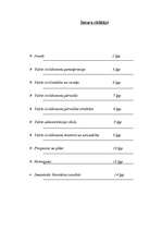 Referāts 'Valsts civildienests', 1.