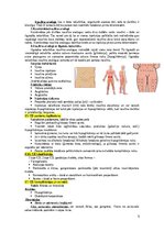 Konspekts 'Konspekts endokrinoloģijā studiju programmas “PODOLOĢIJA” eksāmenam', 5.