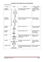 Konspekts 'Anatomijas termini organisma precīzai aprakstīšanai', 1.