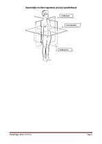 Konspekts 'Anatomijas termini organisma precīzai aprakstīšanai', 5.