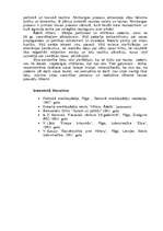 Referāts 'Nacisms Vācijā', 8.