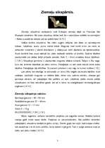 Referāts 'Ziemeļsikspārņa un lidvāveres salīdzinājums', 3.