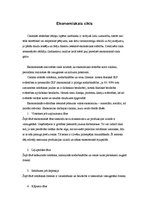 Konspekts 'Ekonomiskie cikli', 1.