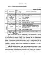 Referāts 'Senais un eksotiskais Ziemeļvidzemē', 6.