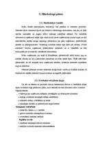 Biznesa plāns 'SIA "AIS". Darbības virziens - datorfirma', 7.