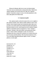 Biznesa plāns 'SIA "AIS". Darbības virziens - datorfirma', 12.