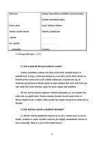 Referāts 'Mūsdienu skatījums par bērna iepazīstināšanu ar naudu', 17.