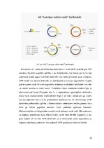 Referāts 'Akciju sabiedrības "Latvijas valsts meži" konkurētspējas analīze', 26.
