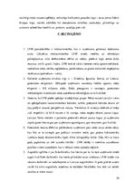 Referāts 'Akciju sabiedrības "Latvijas valsts meži" konkurētspējas analīze', 29.