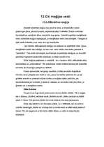 Referāts 'Maģija mūsdienās un pagātnē', 35.