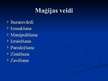 Referāts 'Maģija mūsdienās un pagātnē', 47.