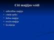 Referāts 'Maģija mūsdienās un pagātnē', 52.