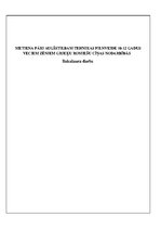 Diplomdarbs 'Metiena pāri augšstilbam tehnikas pilnveide 10-12 gadus veciem zēniem grieķu rom', 1.
