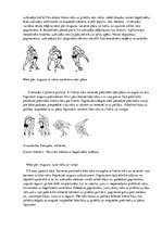 Diplomdarbs 'Metiena pāri augšstilbam tehnikas pilnveide 10-12 gadus veciem zēniem grieķu rom', 14.